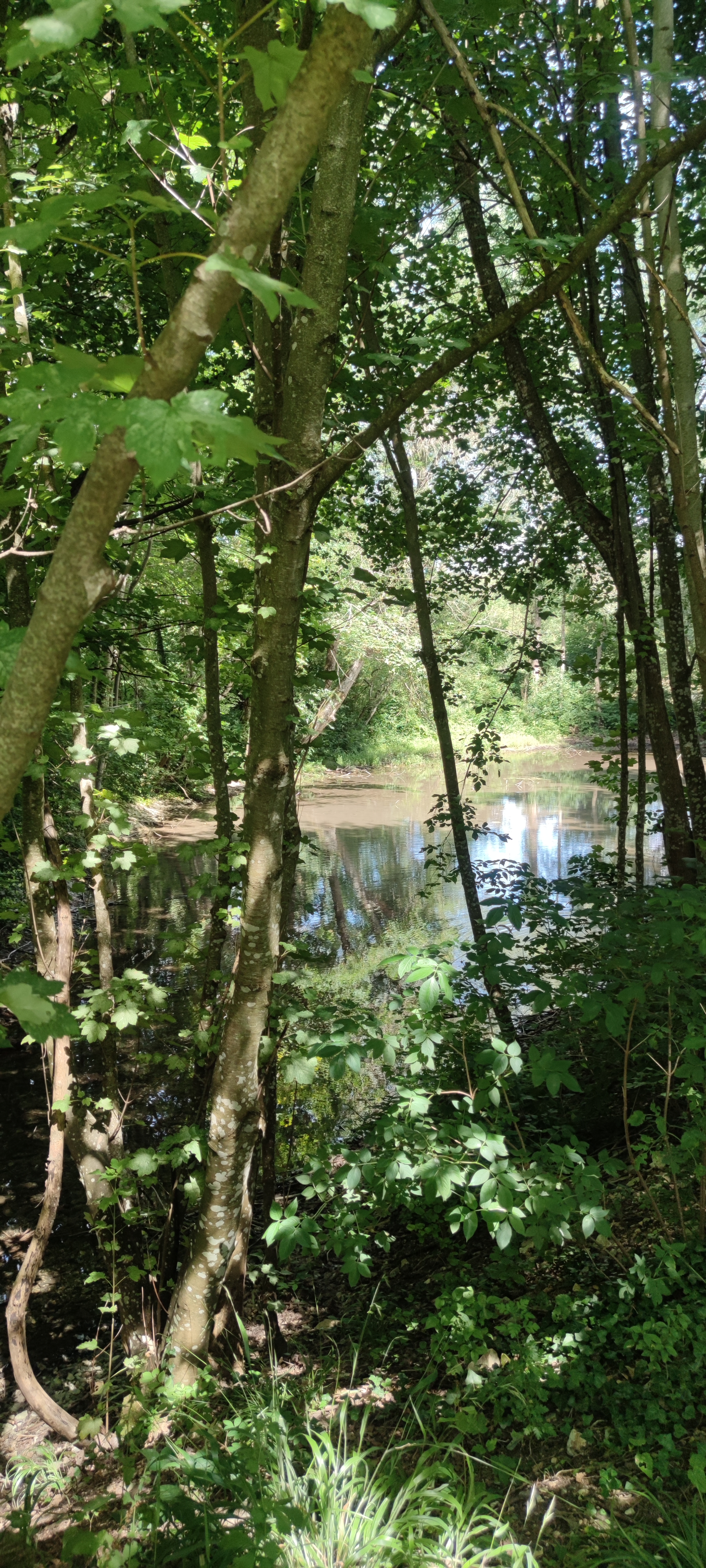 Photo n° 13 de l'avis de Bérengère.H fait le 13/07/2023 à 16:21