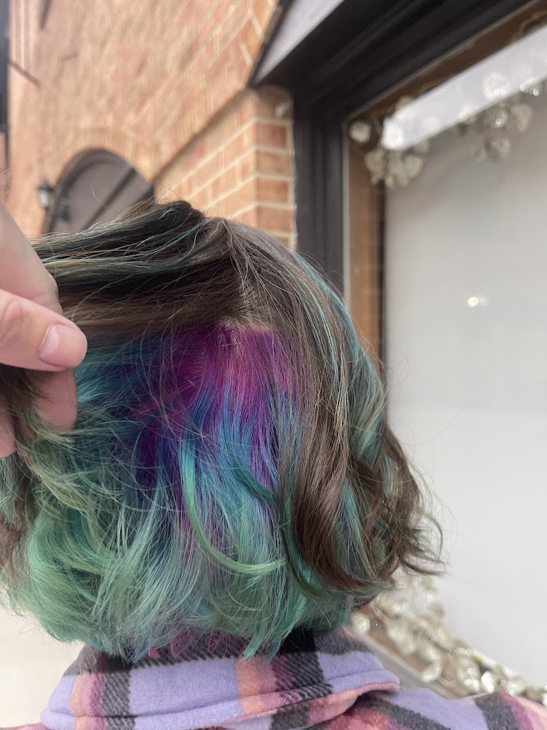 Dye Wild Salon LLC 53406