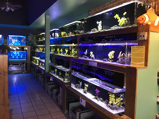 Aquarium «Aquarium In Old Town Inc», reviews and photos, 1001 E Douglas Ave, Wichita, KS 67211, USA