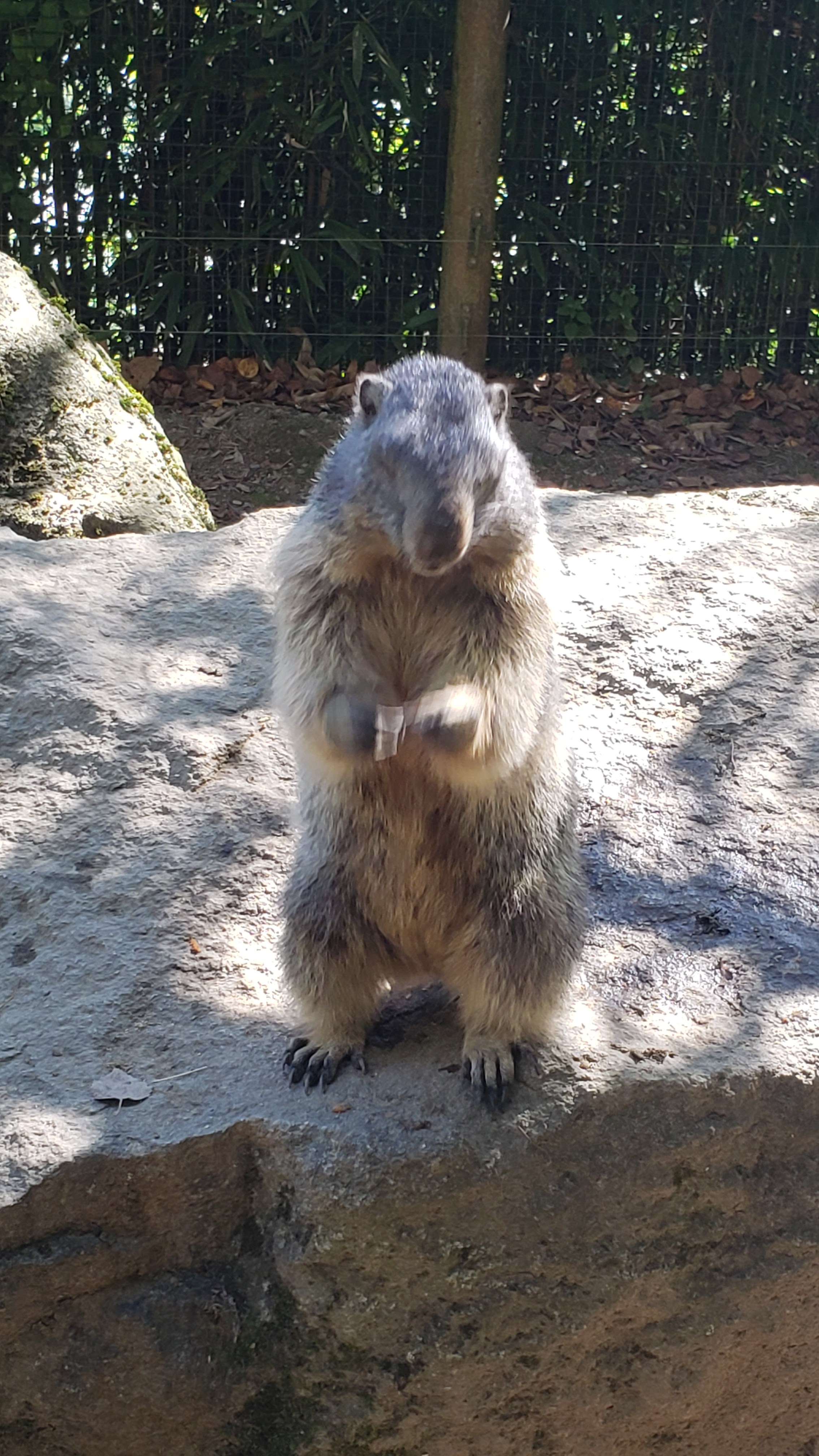 Photo n° 7 de l'avis de Cris.9 fait le 05/10/2023 à 13:30