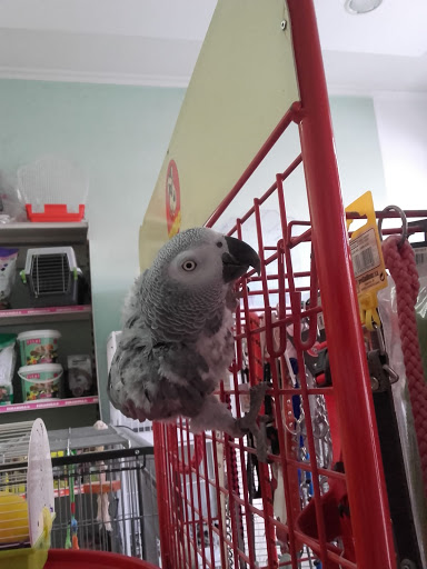 Pajarería Canal en Soria