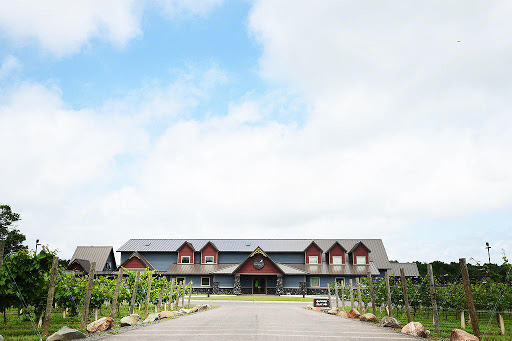 Winery «Dancing Dragonfly Winery», reviews and photos, 2013 120th Ave, St Croix Falls, WI 54024, USA