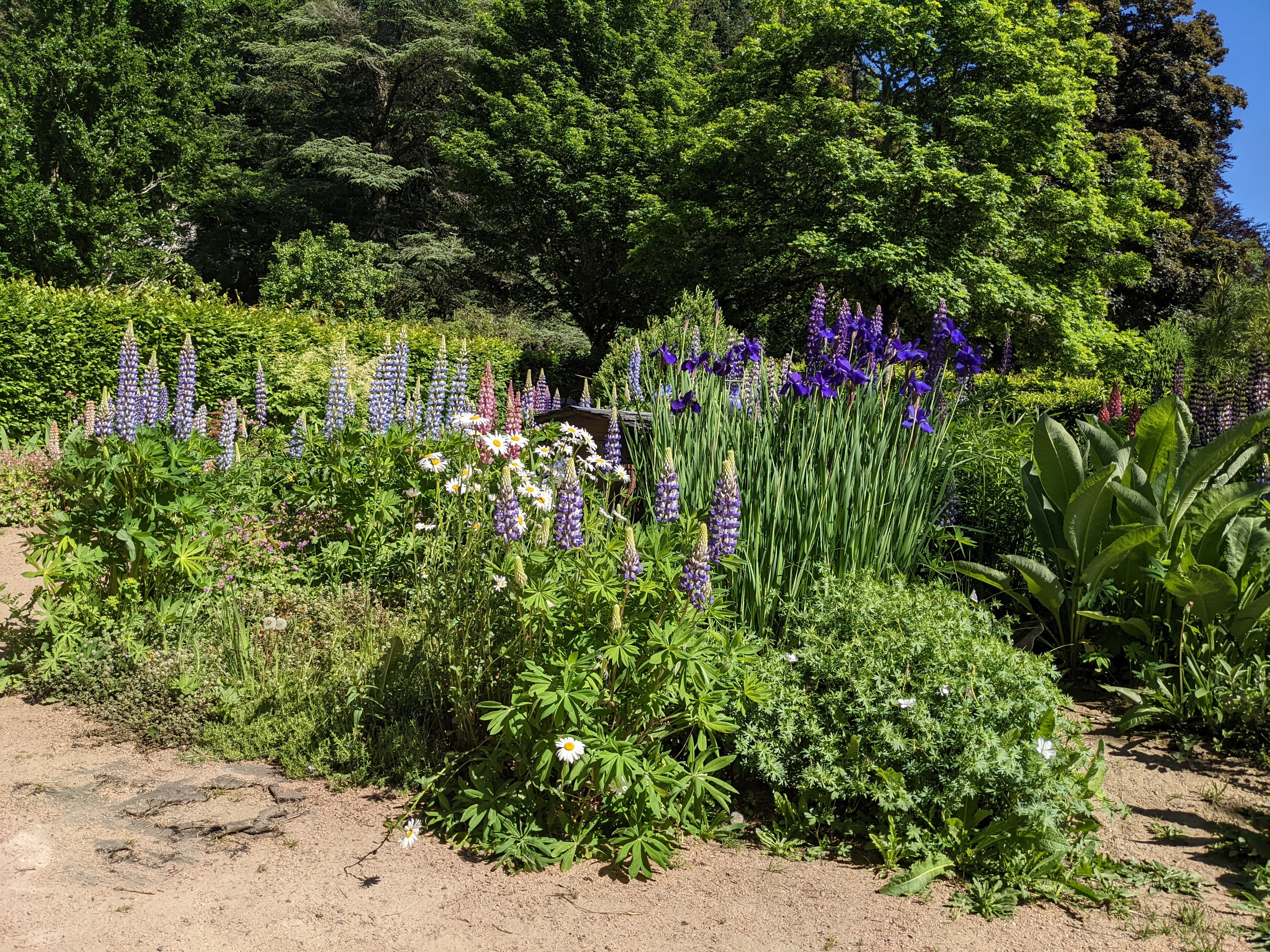 Photo n° 1 de l'avis de vincent.a fait le 28/05/2022 à 18:49