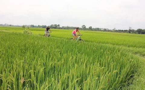 Bike Tours Hanoi - Bicycle Tours Hanoi image