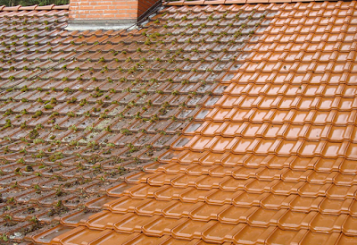 Etablissement NELL à Strasbourg