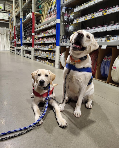 Dog Trainer «Off Leash K9 Training, Charlottesville», reviews and photos, 8782 Seminole Trail, Ruckersville, VA 22968, USA