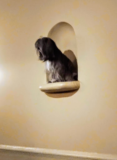 Performing Arts Theater «Fitzgerald Theater», reviews and photos, 10 E Exchange St, St Paul, MN 55101, USA