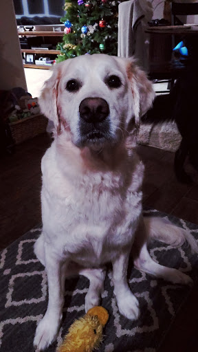 Pet Supply Store «EarthWise Pet Supply & Grooming», reviews and photos, 245 Fries Mill Rd, Blackwood, NJ 08012, USA