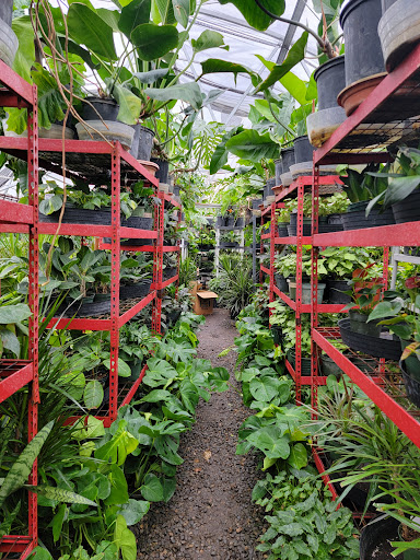 Florist «Little Eden Plantscaping», reviews and photos, 15550 W 72nd Ave, Arvada, CO 80007, USA