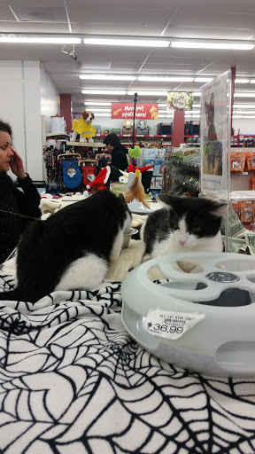 Pet Supply Store «Pet Food Express», reviews and photos, 3160 20th Ave, San Francisco, CA 94132, USA