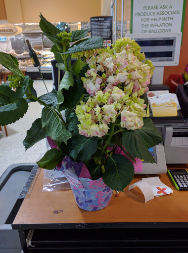 Supermarket «Publix Super Market at Castleberry - Southard Crossing», reviews and photos, 5475 Bethelview Rd, Cumming, GA 30040, USA