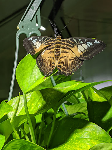 Science Museum «ECHO, Leahy Center for Lake Champlain», reviews and photos, 1 College St, Burlington, VT 05401, USA