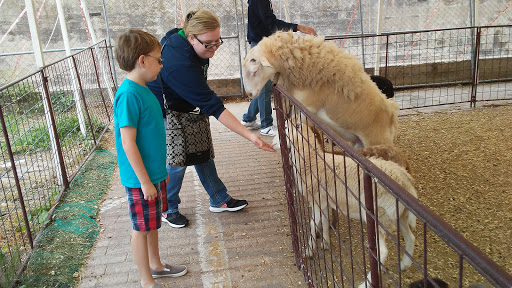 Zoo «Petting Zoo», reviews and photos, 829 E Exchange Ave, Fort Worth, TX 76164, USA