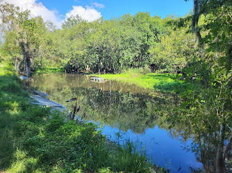 CREW Bird Rookery Swamp Trails