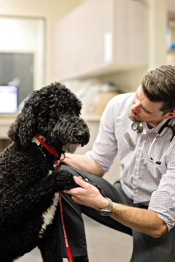 Pet Store «Market Street PET DEPOT», reviews and photos, 2979 S Market St, Gilbert, AZ 85295, USA