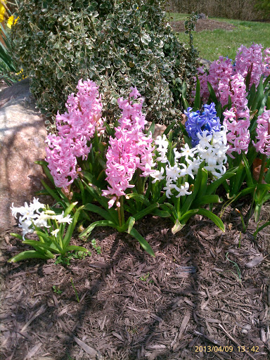 Park «Pioneer Park», reviews and photos, 10505 Deerfield Rd, Montgomery, OH 45242, USA