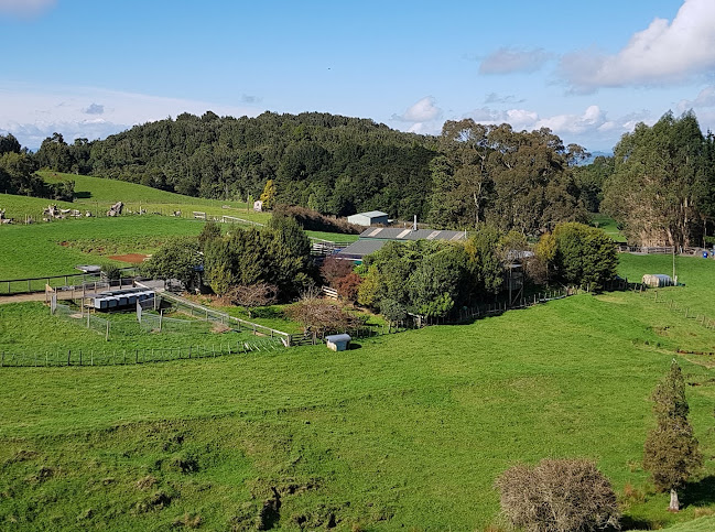 Reviews of AKELA in Pirongia - Dog trainer