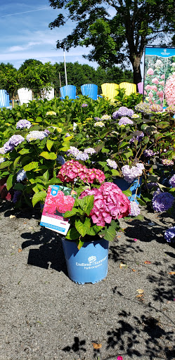 Pet Supply Store «Agway of Middlefield», reviews and photos, 147 Meriden Rd, Middlefield, CT 06455, USA