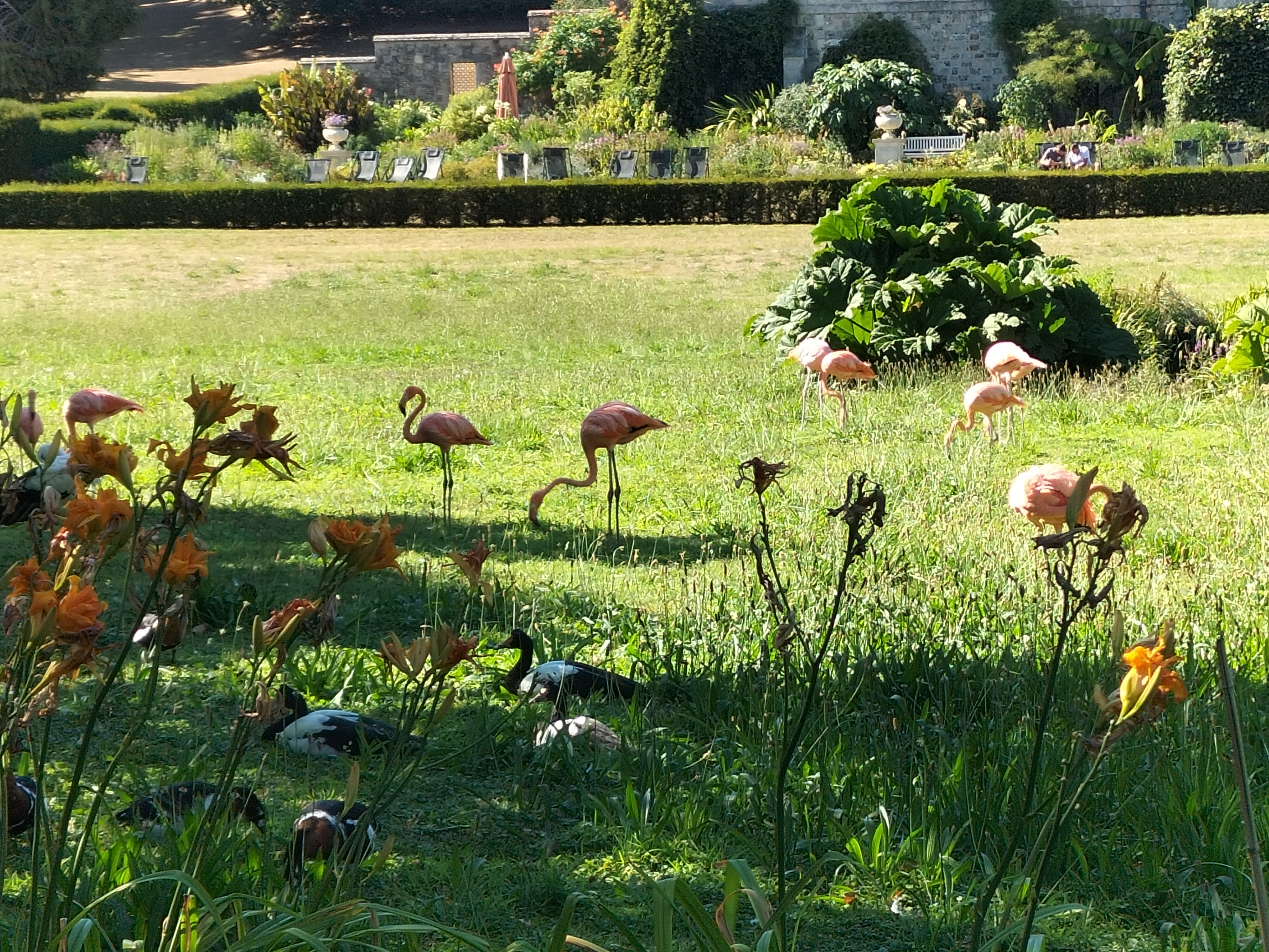 Photo n° 5 de l'avis de Elise.u fait le 08/09/2022 à 12:48