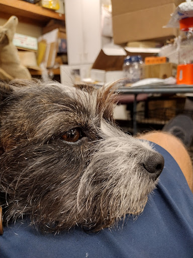 Pawn Shop «Mr Money Pawn & Gun Inc», reviews and photos, 3315 E Hillsborough Ave, Tampa, FL 33610, USA