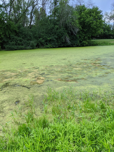 Public Golf Course «Hansen Park Golf Course», reviews and photos, 9800 Underwood Pkwy, Wauwatosa, WI 53226, USA