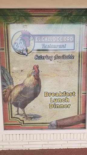 Restaurant «El Gallo De Oro Restaurante», reviews and photos, 4007 Fiesta Plaza, Tampa, FL 33607, USA