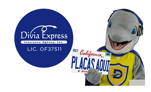 Insurance Agency «Divia Express Insurance Agency», reviews and photos