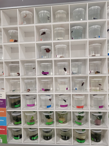 Pet Supply Store «PetSmart», reviews and photos, 5005 S 74th St, Greenfield, WI 53220, USA