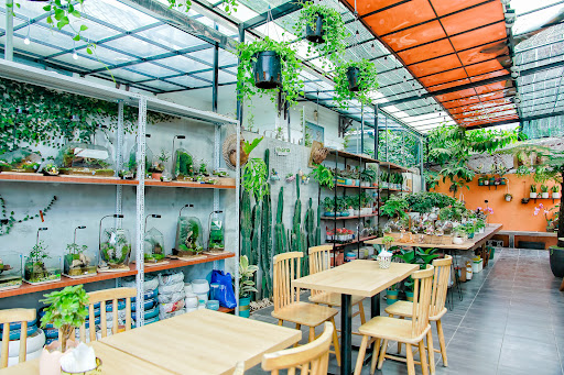 Top 20 quán cafe cho trẻ em Huyện Vĩnh Bảo Hải Phòng 2022