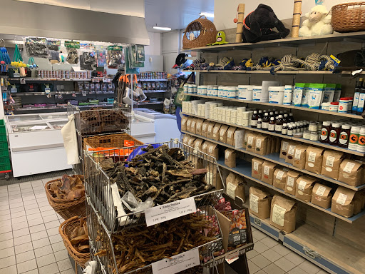 Pansenkönig unter Birkenwerder, 