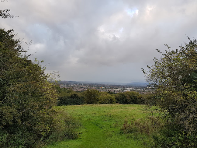 Comments and reviews of Robinswood Hill Country Park
