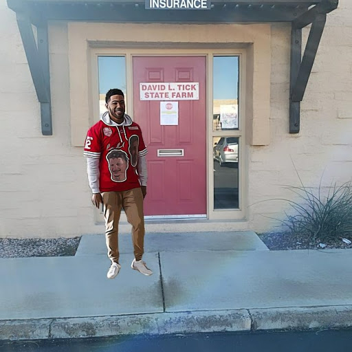 Insurance Agency «David Tick - State Farm Insurance Agent», reviews and photos
