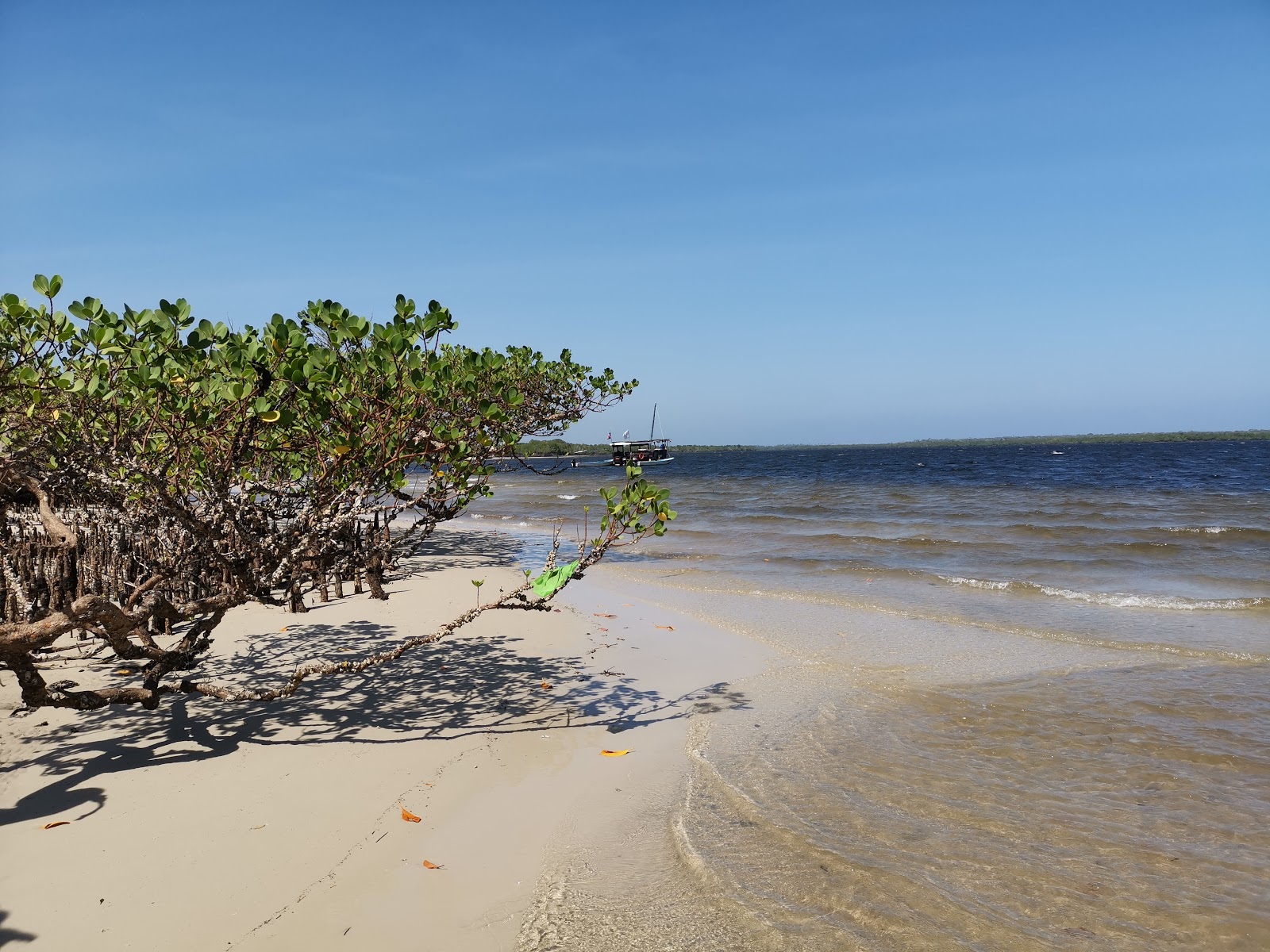 Foto di Funzi Beach con costa lunga e dritta