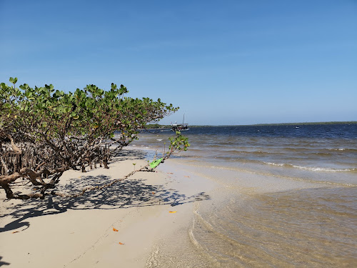 Funzi Beach photo #2