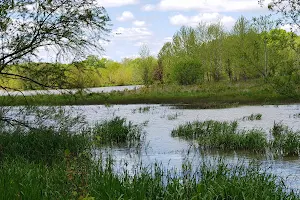 Forum Nature Area image