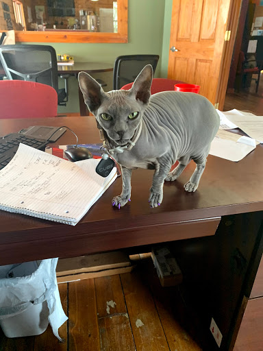 Insurance Agency «Adam Hage - State Farm Insurance Agent», reviews and photos