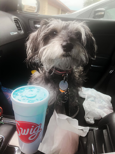 Soft Drinks Shop «The Soda Shop», reviews and photos, 2010 E Brown Rd, Mesa, AZ 85213, USA