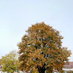 Photo n°1 de l'avis de Davide.r fait le 23/10/2022 à 12:24 sur le  Eiscafé/Pizzeria Limone à Freudenstadt