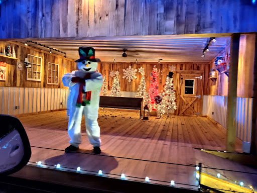 Tourist Attraction «Chads Winter Wonderland», reviews and photos, 791 Old Laguardo Rd E, Lebanon, TN 37087, USA