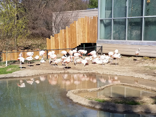 Zoo «Blank Park Zoo», reviews and photos, 7401 SW 9th St, Des Moines, IA 50315, USA