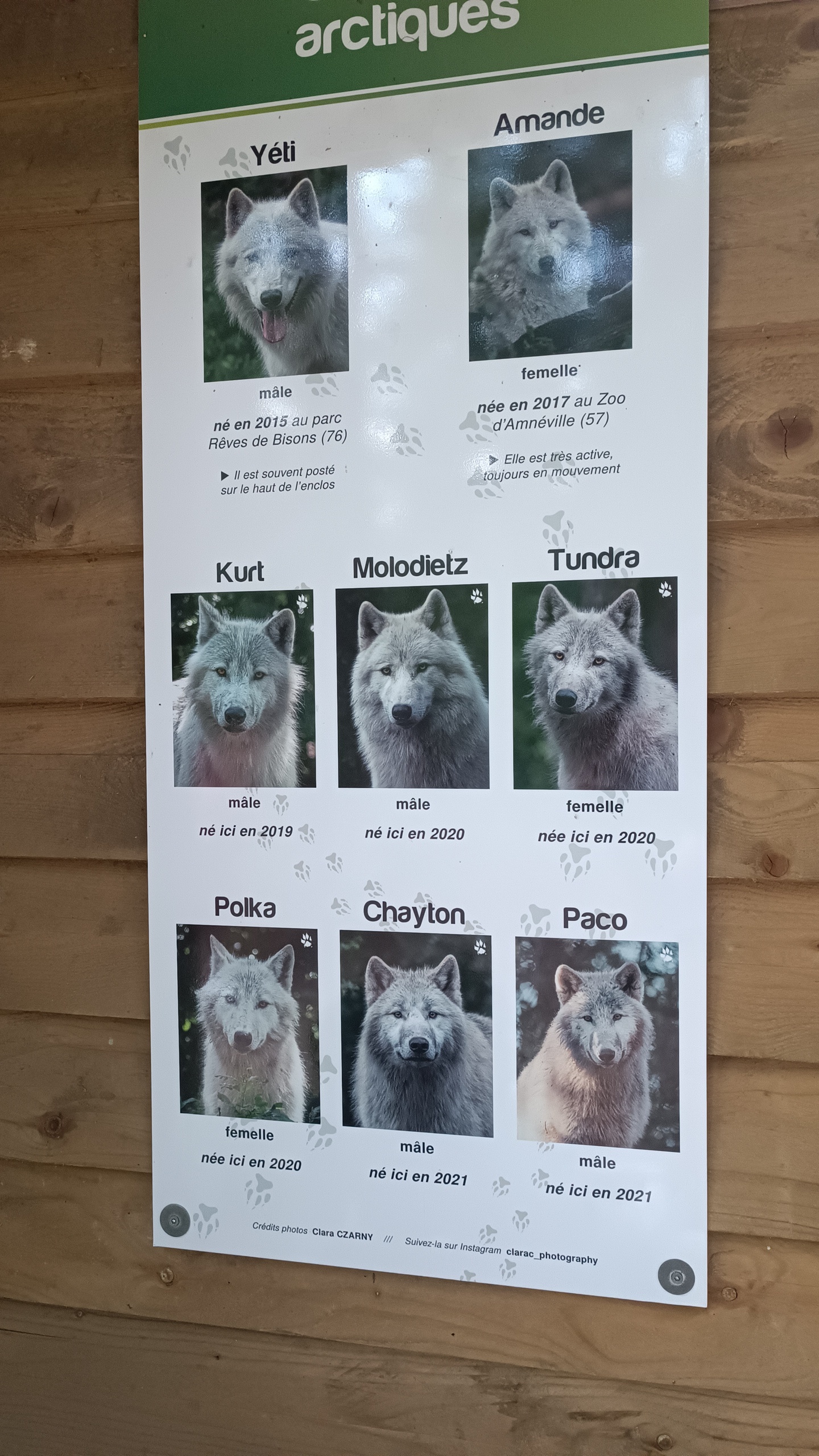 Photo n° 2 de l'avis de Joana.a fait le 29/07/2023 à 16:07