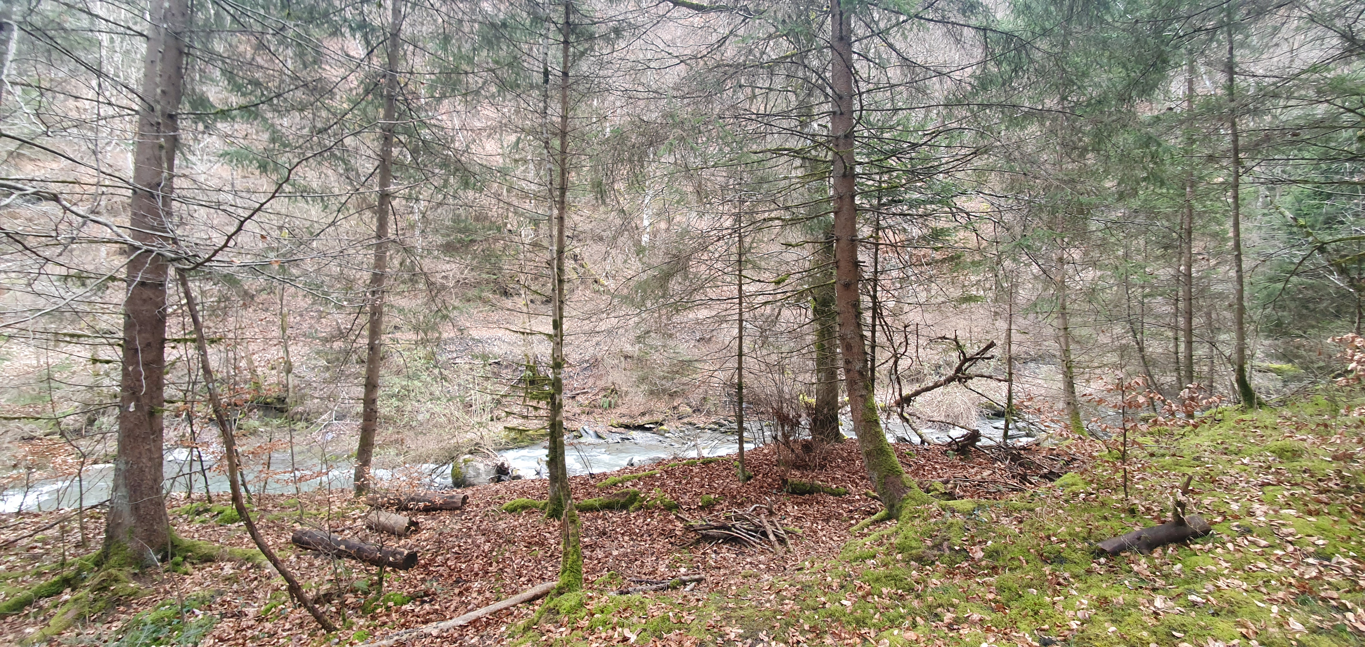 Photo n° 7 de l'avis de Souffle.a fait le 09/03/2021 à 18:31