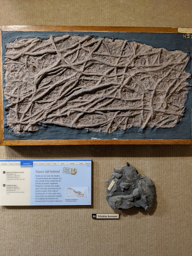 Museum «Museum of the Earth», reviews and photos, 1259 Trumansburg Rd, Ithaca, NY 14850, USA