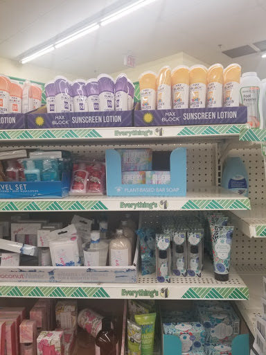 Dollar Store «Dollar Tree», reviews and photos, 58 Swansea Mall Dr, Swansea, MA 02777, USA