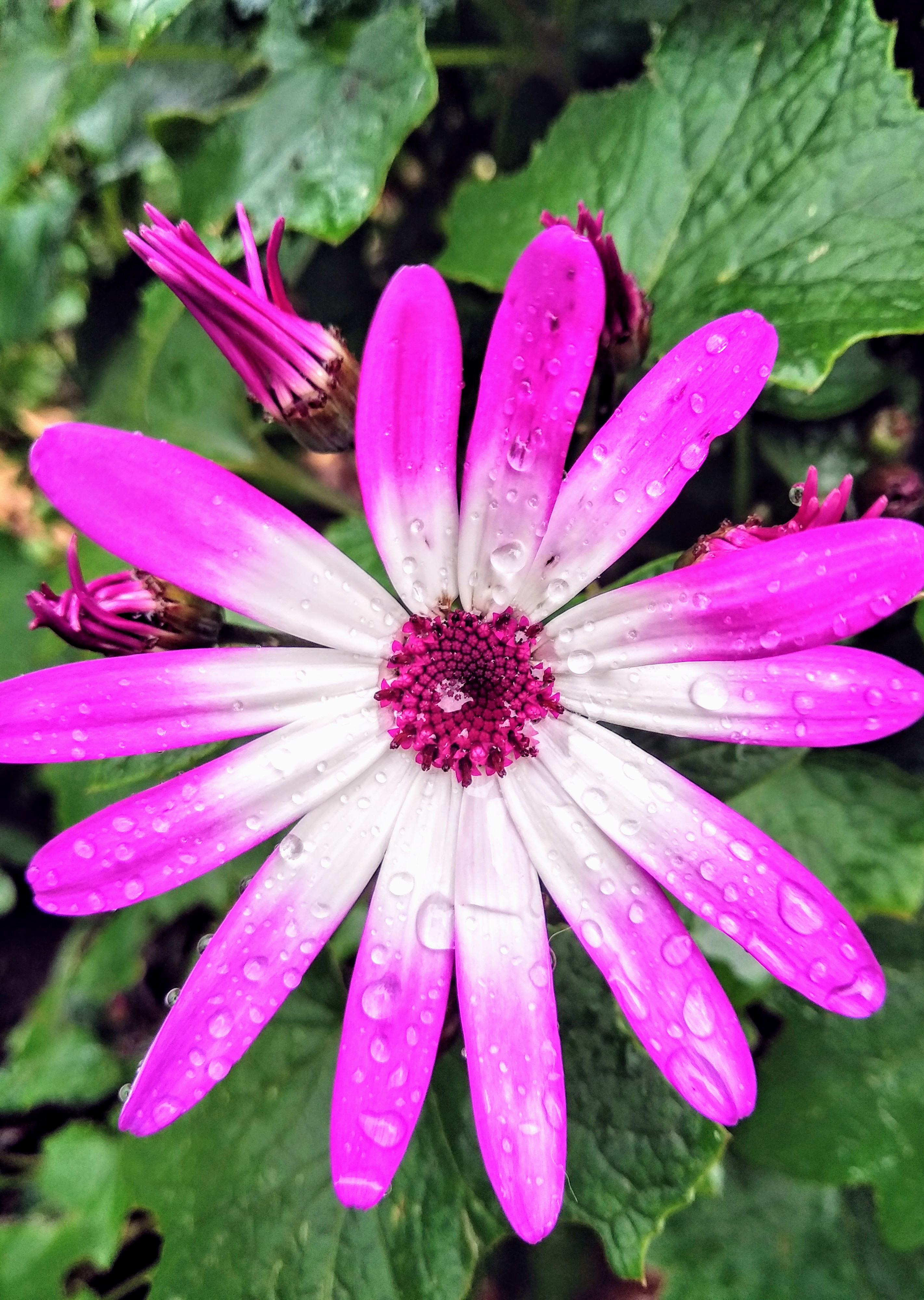 Photo n° 1 de l'avis de Thybaut.h fait le 01/03/2019 à 11:19