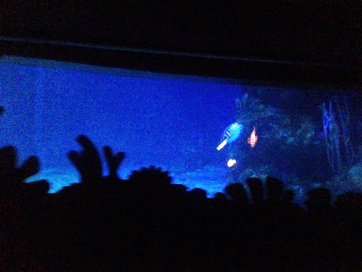 Travel Agency «Travel With The Hopper», reviews and photos, 7828 Village Green Dr, Avon, IN 46123, USA