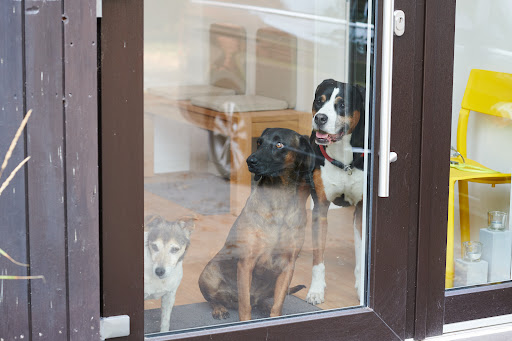 Tierärztliche Praxis Hof Stolzenberg unter Neustadt am Rübenberge, Niedersachsen