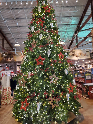 Sporting Goods Store «Bass Pro Shops», reviews and photos