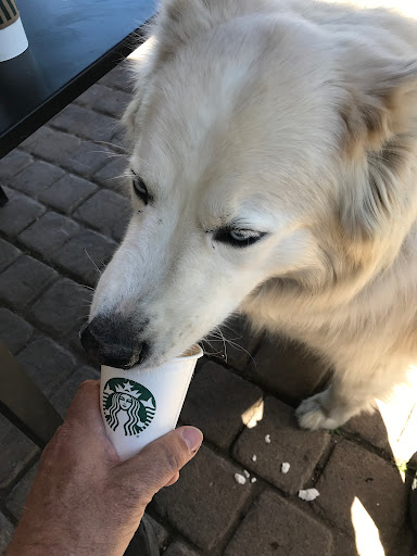 Starbucks image
