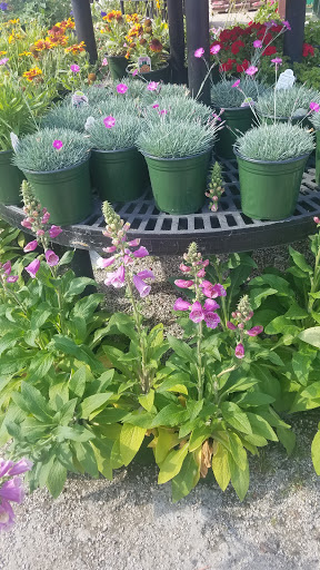 Produce Market «Lambs», reviews and photos, 419 2nd Loop Rd, Florence, SC 29505, USA